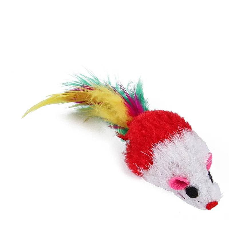 Ultimate Kitten Toy Bundle