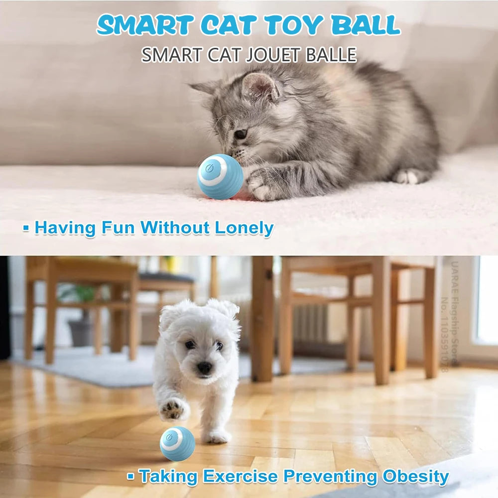 Smart Rolling Cat Toy Ball