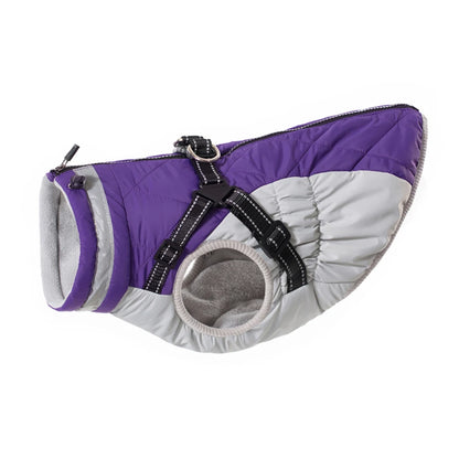 All-Weather Pup Protection Jacket