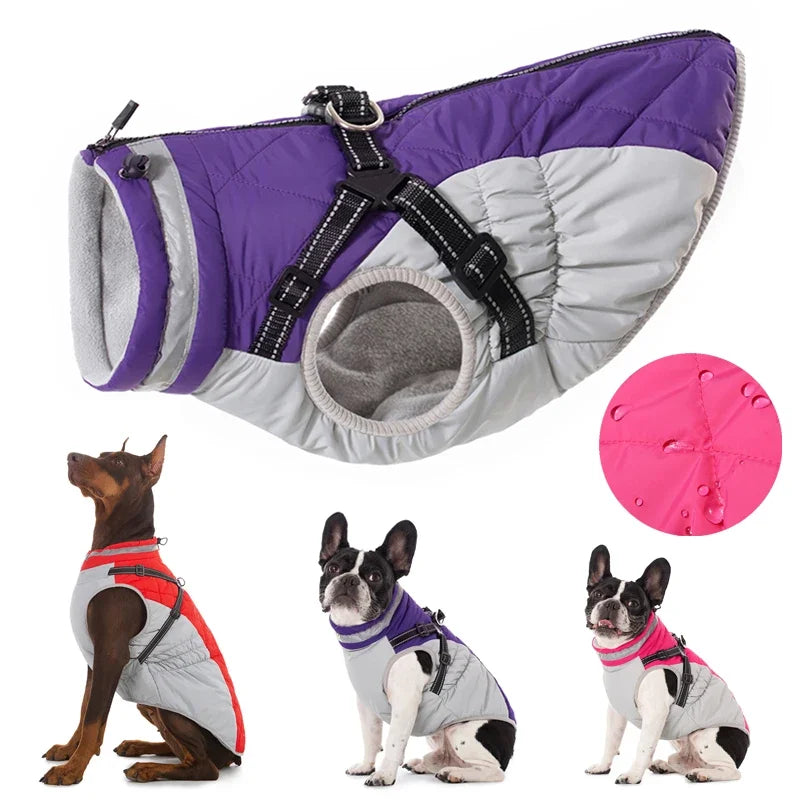 All-Weather Pup Protection Jacket