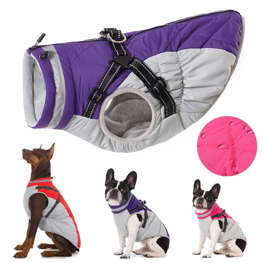 All-Weather Pup Protection Jacket