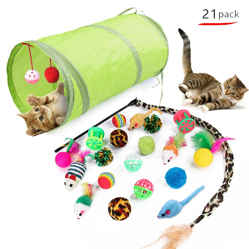 Ultimate Kitten Toy Bundle